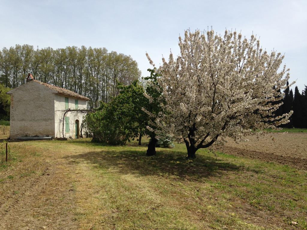 La Maison Du Peintre En Provence Bed & Breakfast Mallemort Exterior photo